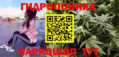 гашик Кулебаки