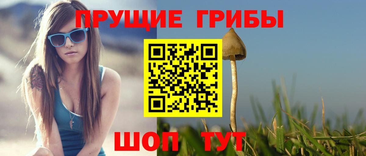 Ипатово  Псилоцибиновые грибы GOLDEN TEACHER  Вход с VPN 